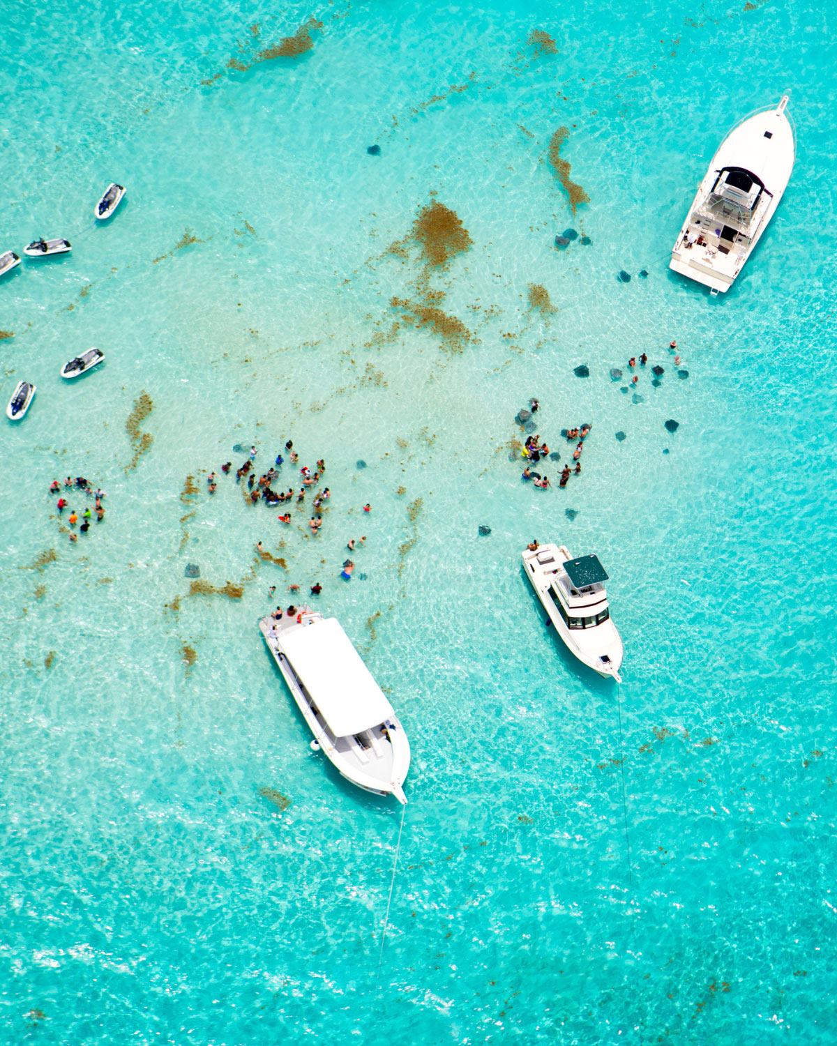 Stingray City, Grand Cayman